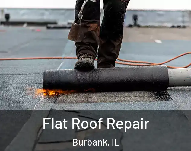  Flat Roof Repair Burbank, IL
