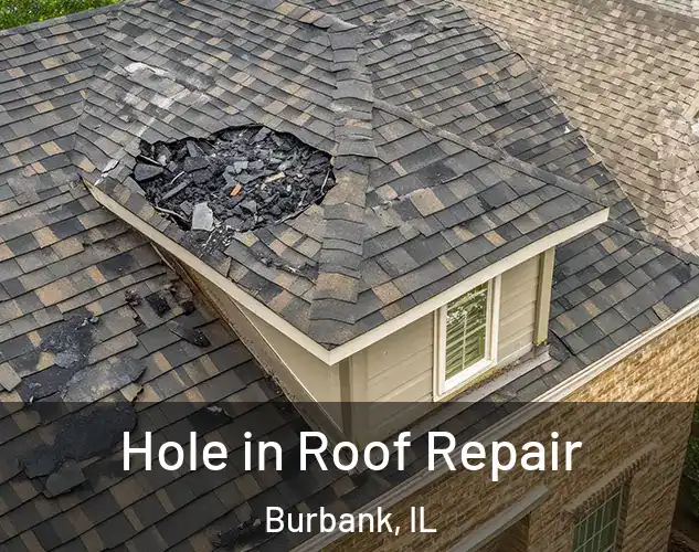  Hole in Roof Repair Burbank, IL