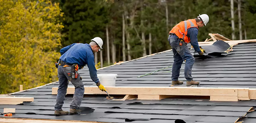Architectural Shingle Repair Burbank