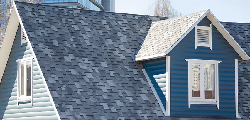 Shingle Roof Maintenance in Burbank
