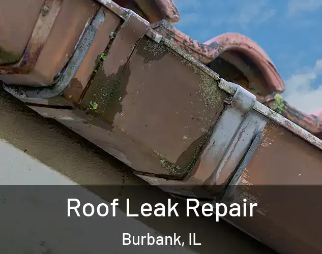  Roof Leak Repair Burbank, IL