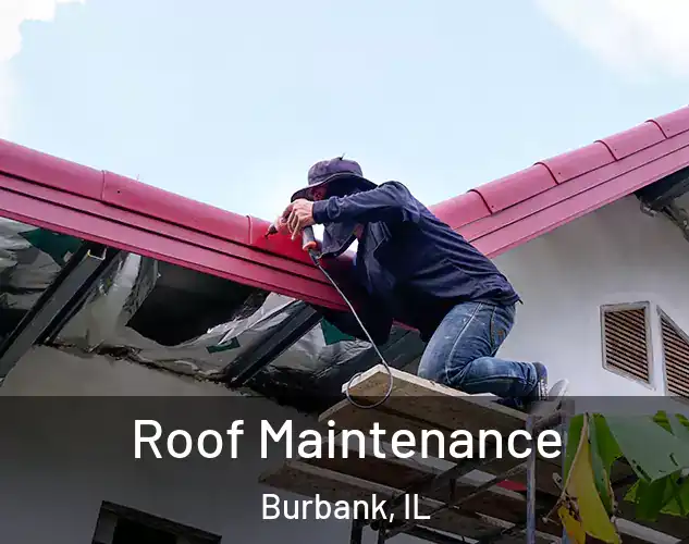  Roof Maintenance Burbank, IL